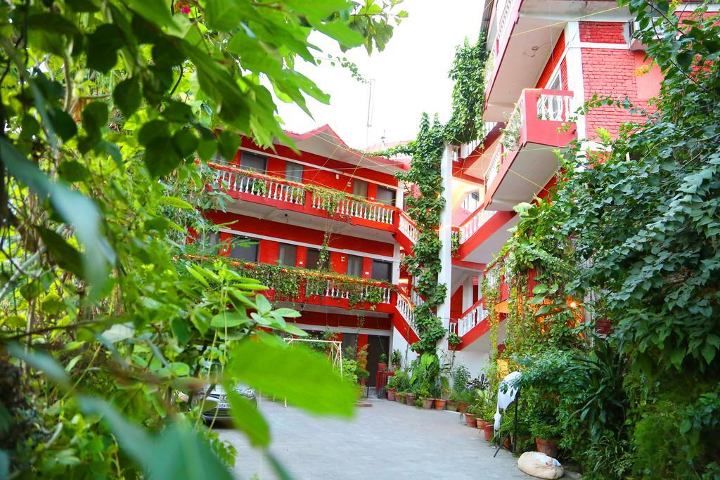 Divine Ganga Cottage Rishīkesh Esterno foto
